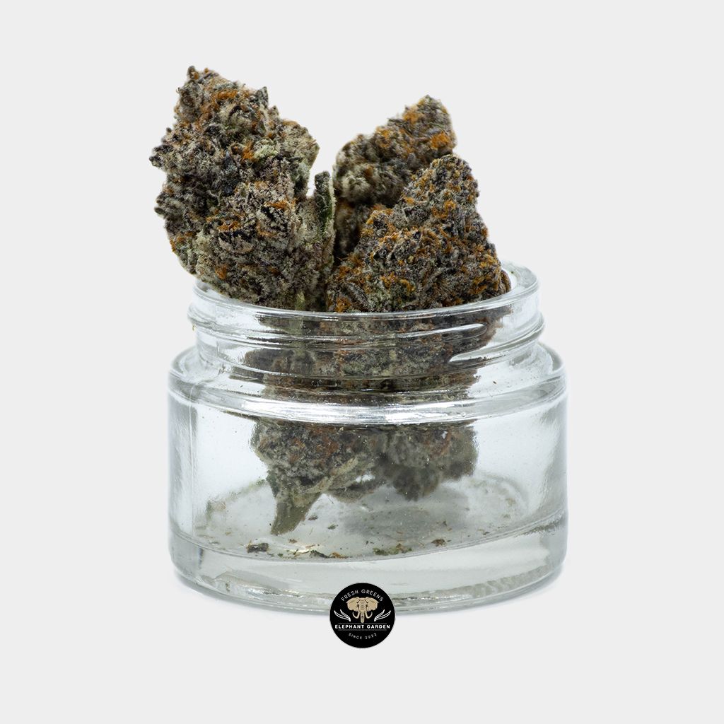 Buy Black Biscotti at Elephant Garden Online Weed Dispensary & Online Pot Shop - Glass Shot