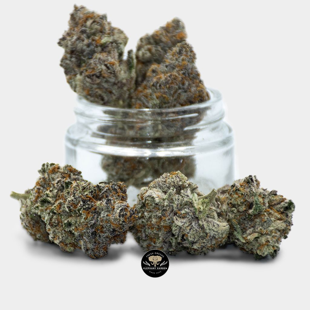 Buy Black Biscotti at Elephant Garden Online Weed Dispensary & Online Pot Shop - Bundle Shot