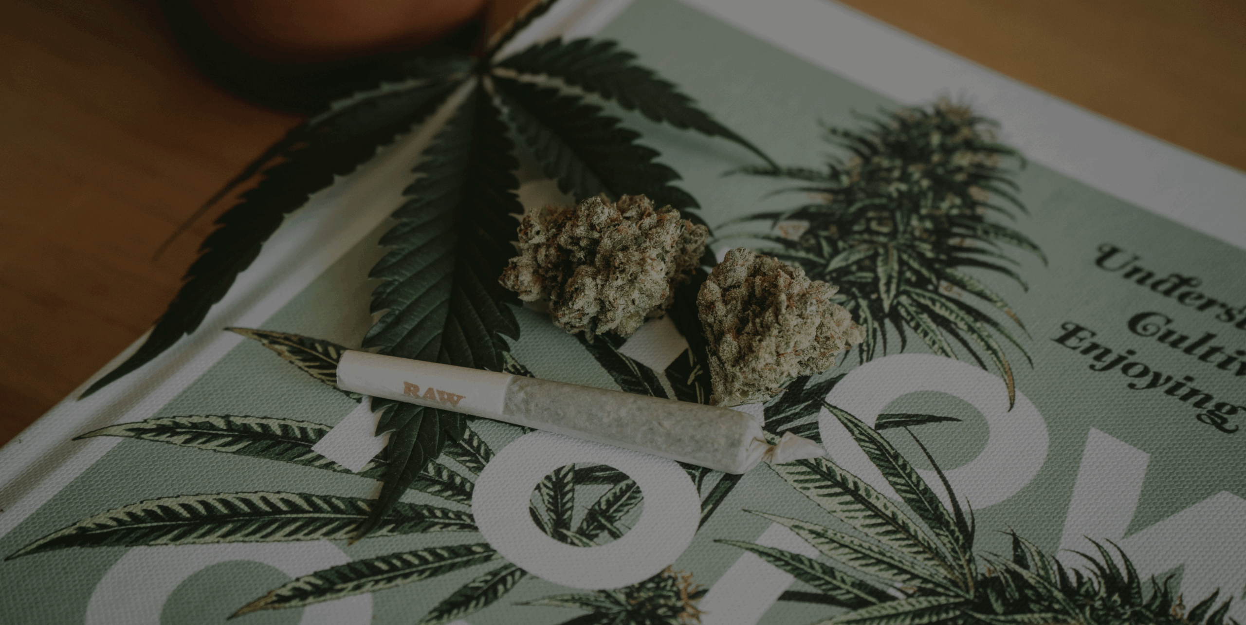 Cannabis Rolling Raw Joint Popcorn Banner