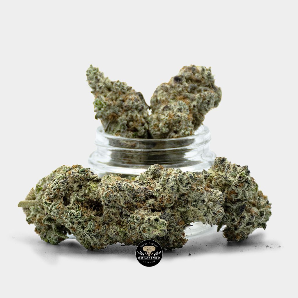Buy Purple Pear at Elephant Garden Online Weed Dispensary & Online Pot Shop - Bundle Shot