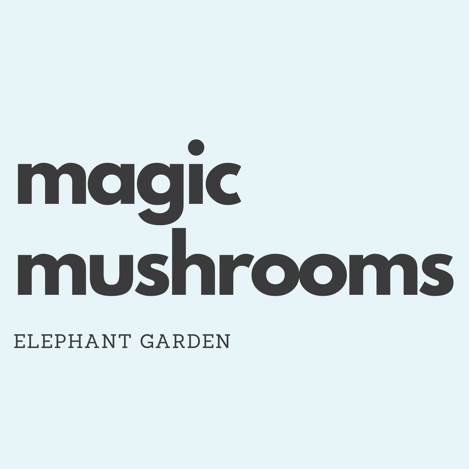 Buy Magic Mushrooms at Elephant Garden Online Weed Dispensary & Online Pot Shop - Banner