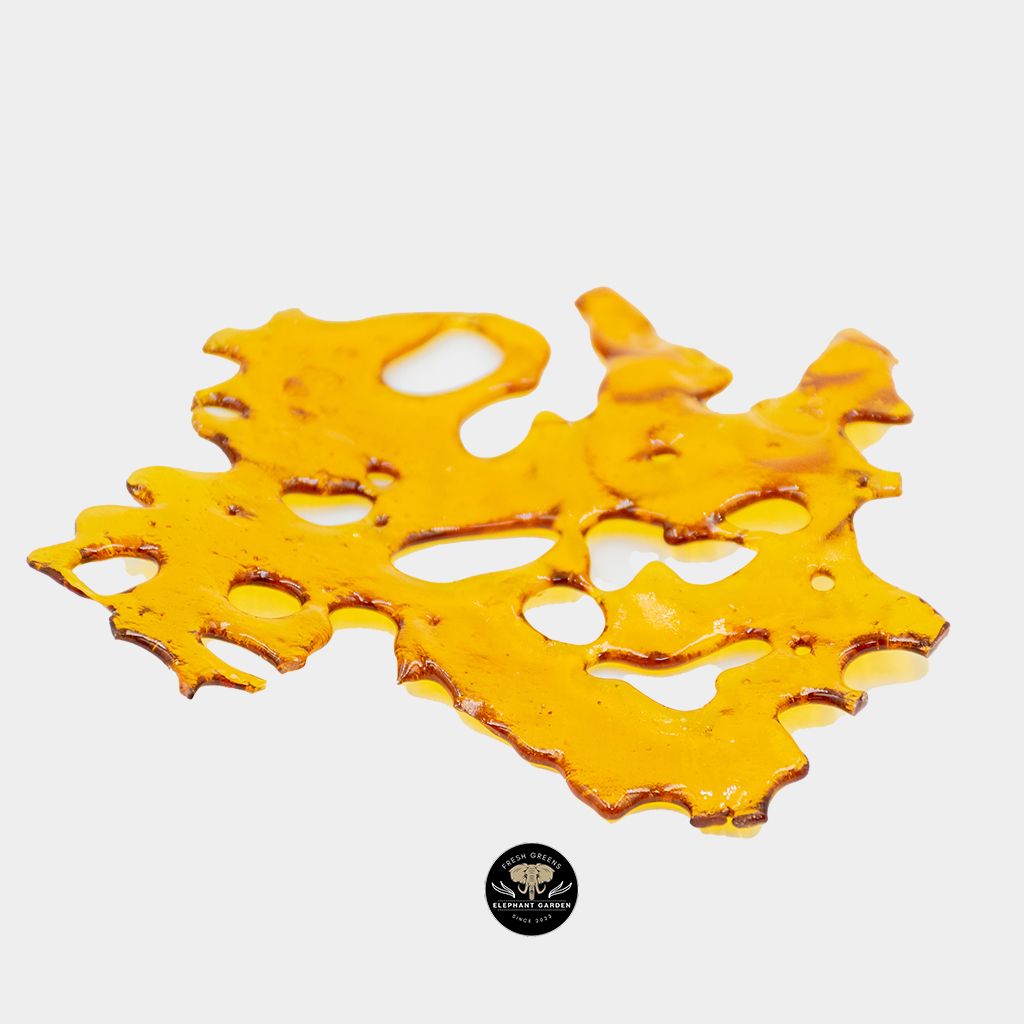 Buy Dutch Treat Shatter at Elephant Garden Online Weed Dispensary & Online Pot Shop - Close Up