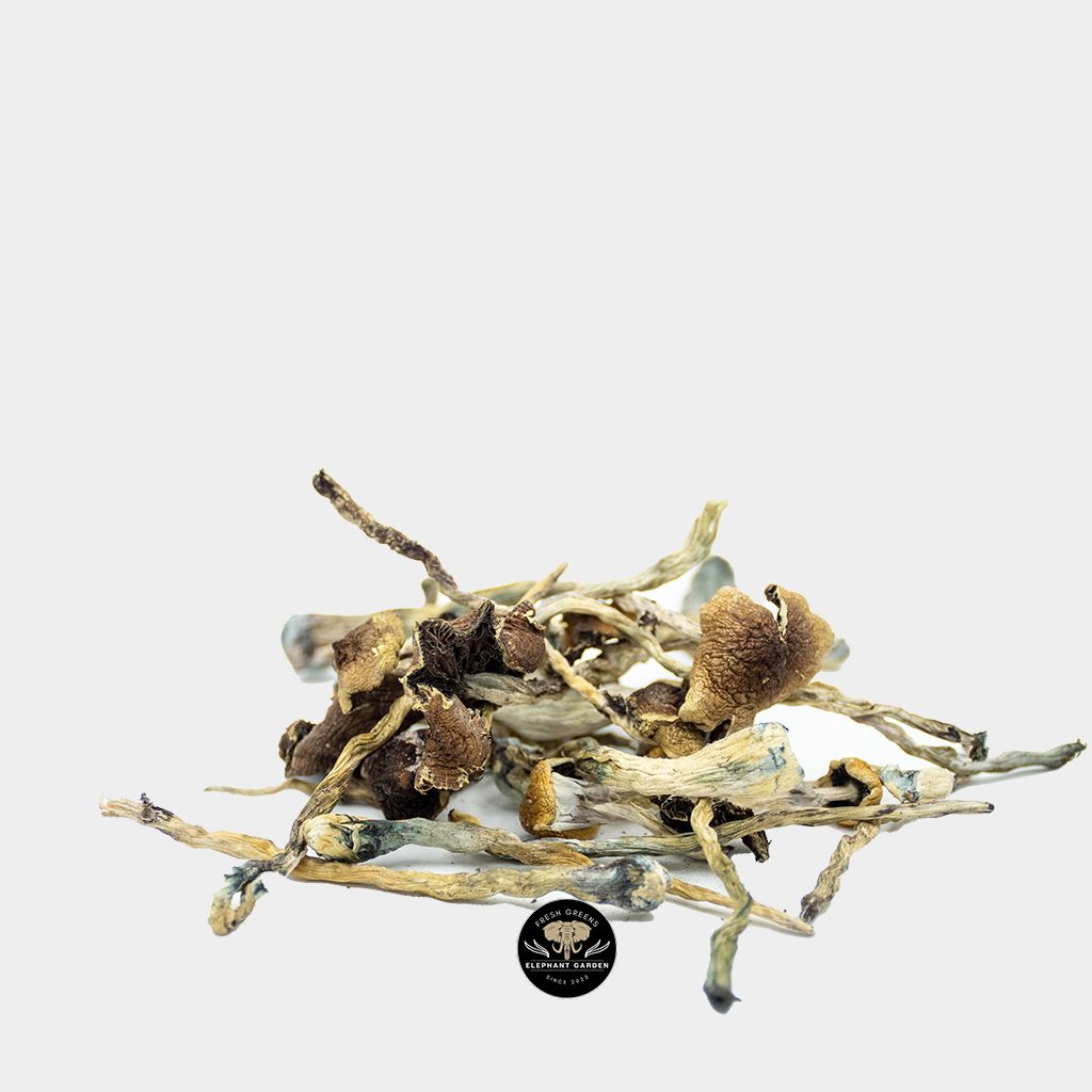 Buy Texas Penis Envy at Elephant Garden Online Weed Dispensary & Online Pot Shop