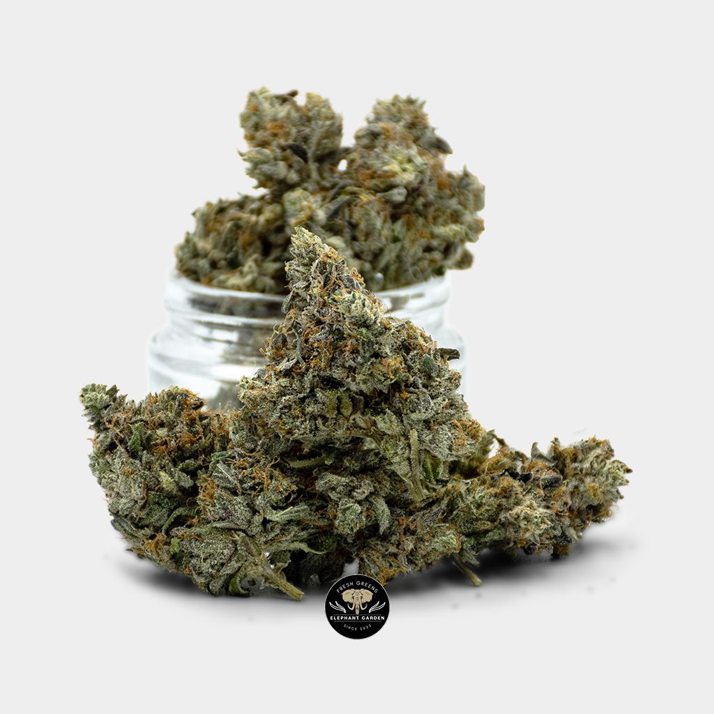 Black Gas Bundle Shot