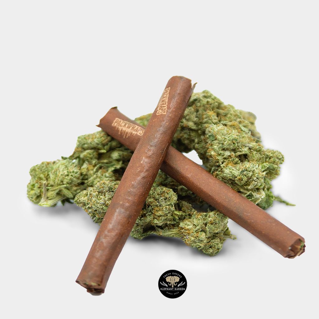 Cannagar Double Shot