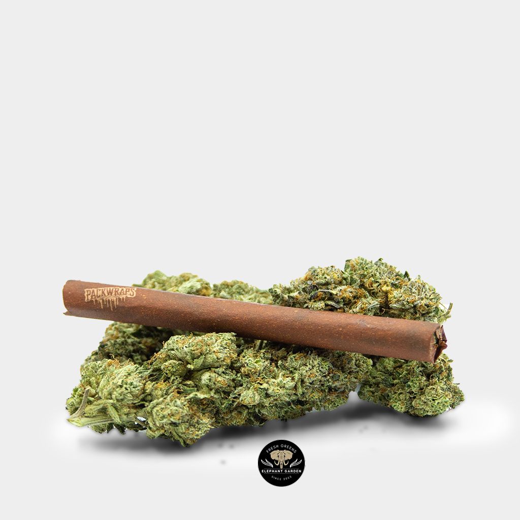 Cannagar Single Shot