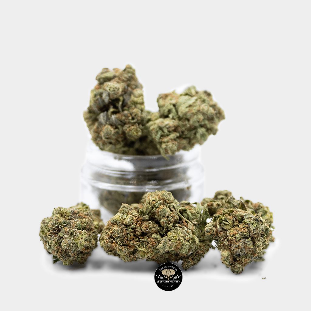 Chemdog 2 Bundle
