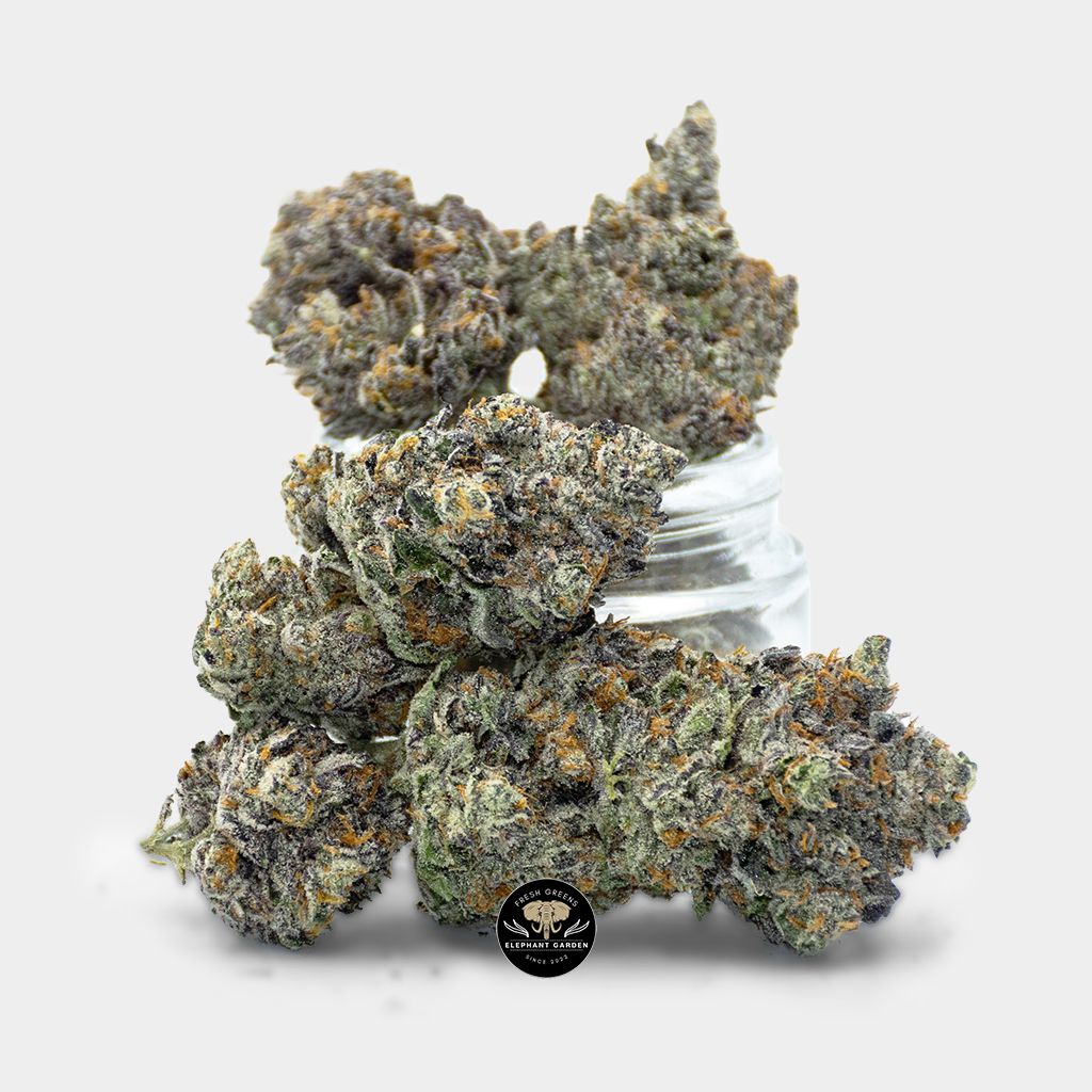 Gummy Buns Bundle Shot