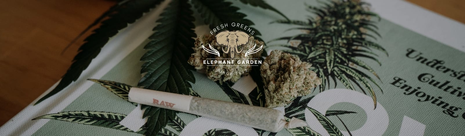 How to Earn by Writing a Review Banner 2