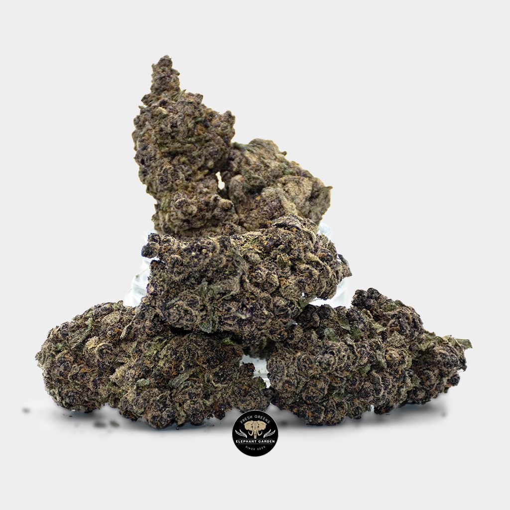 Tropicana Cherry Bundle Shot