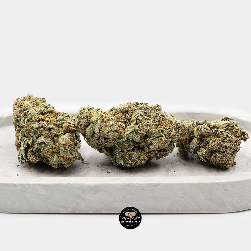 Berry Blossom Bundle