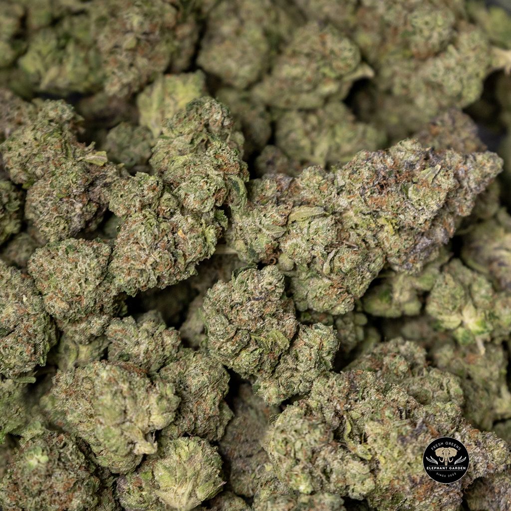 Buy Fortune Cookie Bulk at Elephant Garden Co Weed Dispensary 2