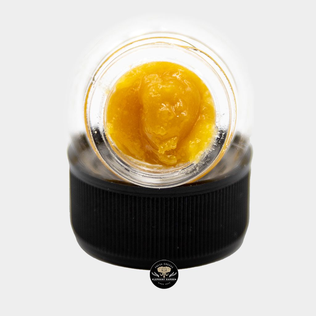 Gorilla OG 2