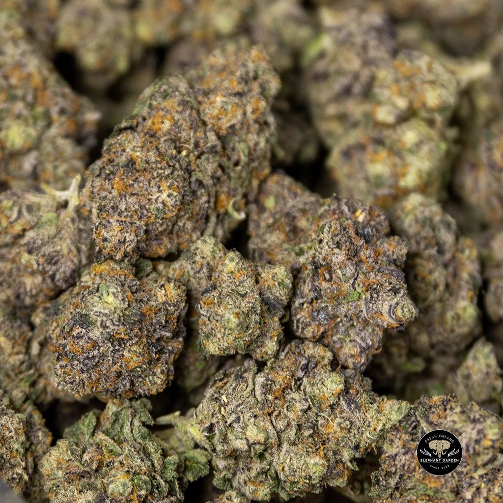 Buy Gummy Buns Bulks at Elephant Garden Co Weed Dispensary 2