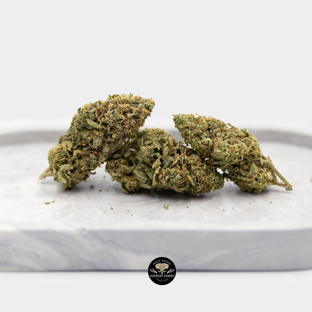 Lemon Haze Bundle 1