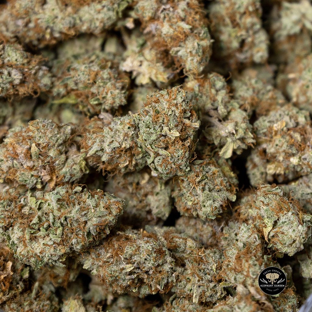 Buy Lemon Thai Bulk at Elephant Garden Co Weed Dispensary 4