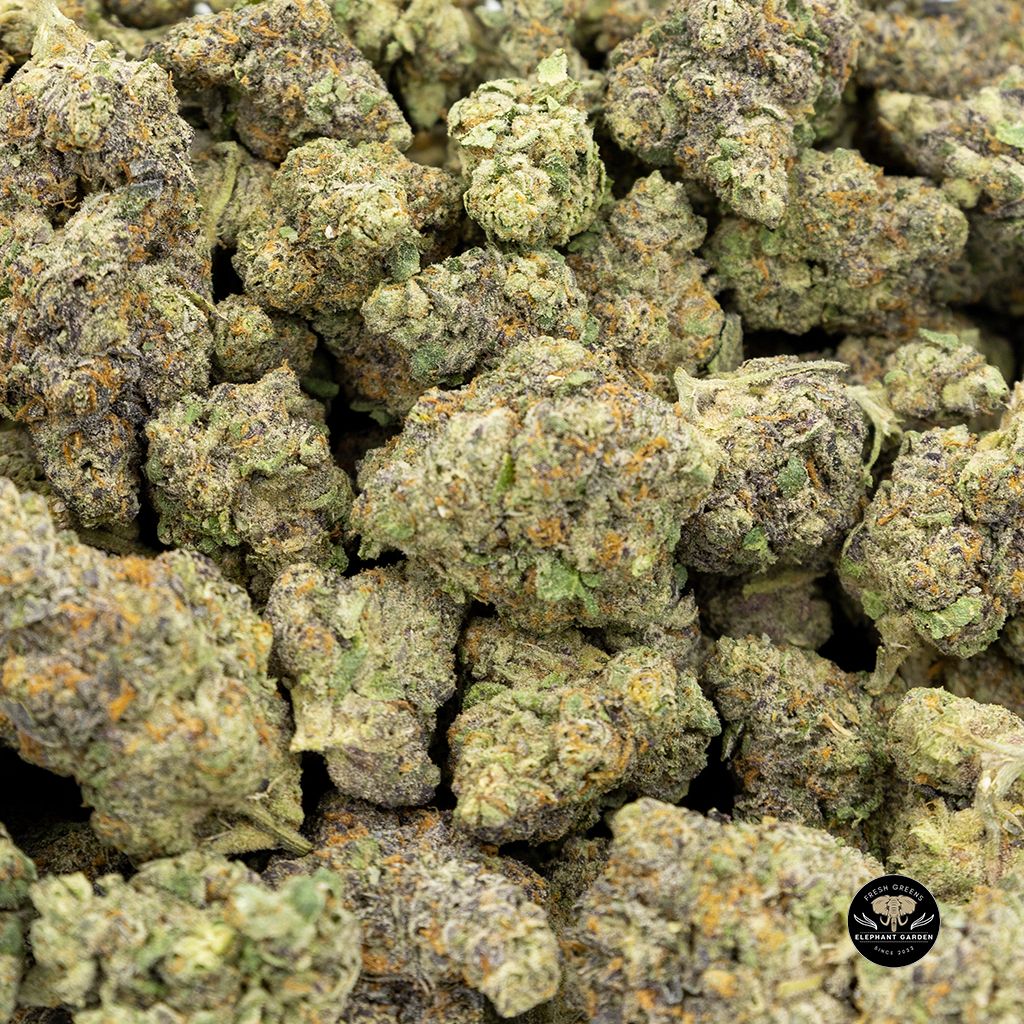 Buy Lilac Diesel Bulk at Elephant Garden Co Weed Dispensary 2