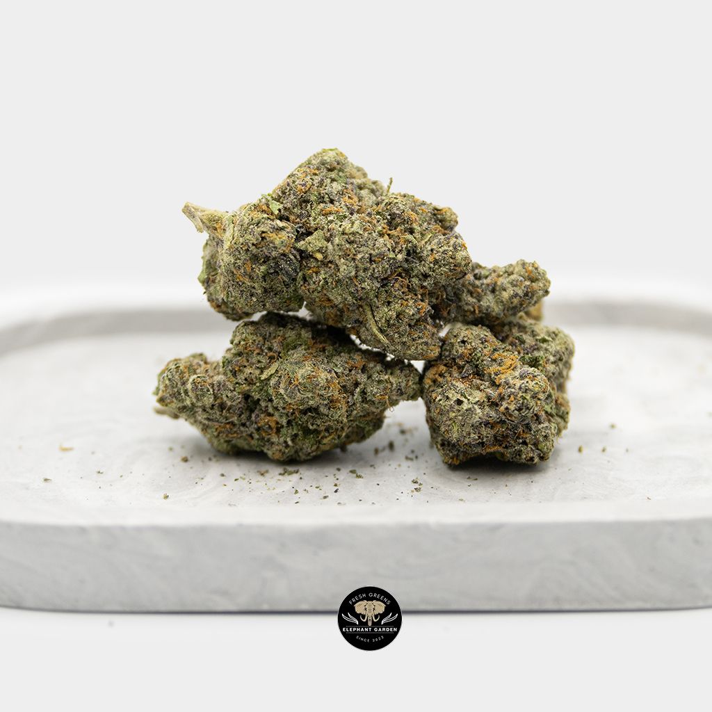 Lilac Diesel Bundle
