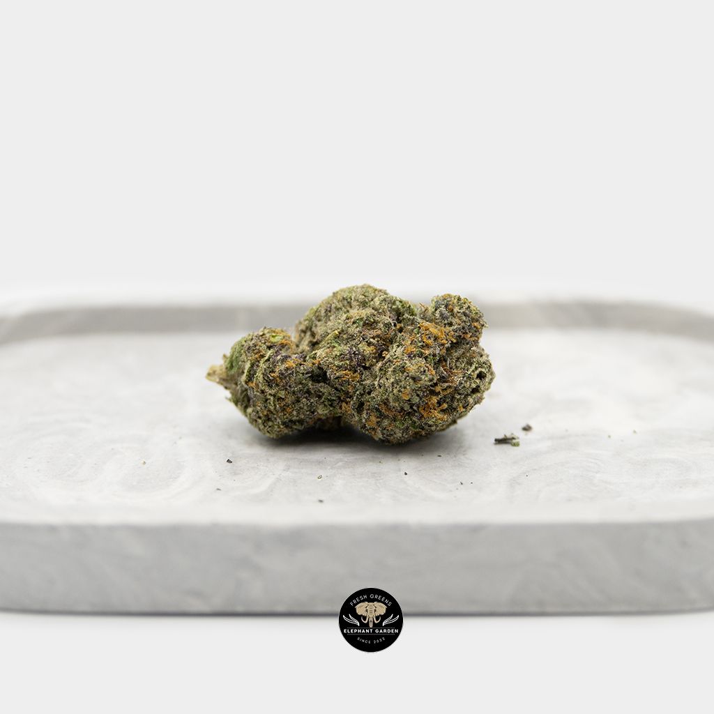 Lilac Diesel Single