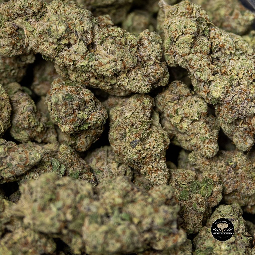 Buy Lucd Dream Bulk At Elephant Garden Co Weed Dispensary 4