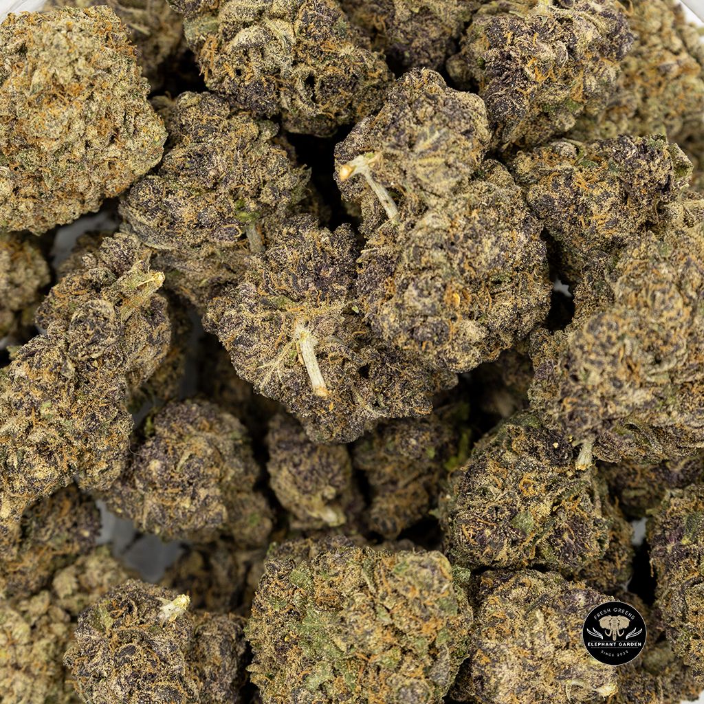 Buy Mandarin Zkittlez Bulk at Elephant Garden Co Weed Dispensary 4