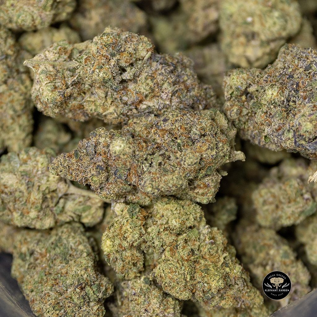 Buy Mendo Haze Bulk at Elephant Garden Co Weed Dispensary 4