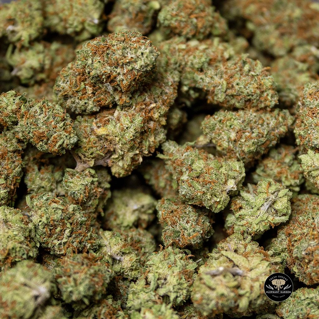 Buy Pineapple Punch Bulk At Elephant Garden Co Weed Dispensary 2