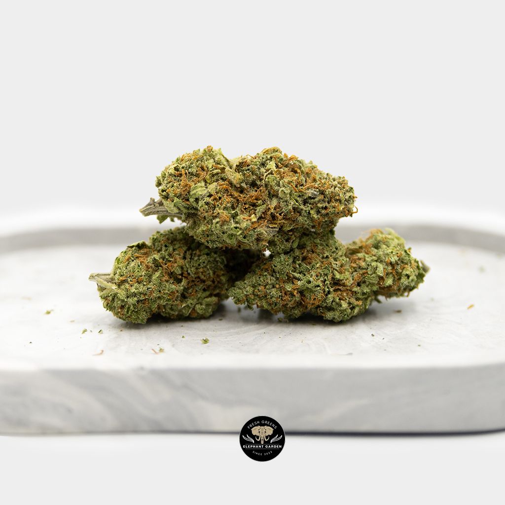 Pineapple Punch Bundle