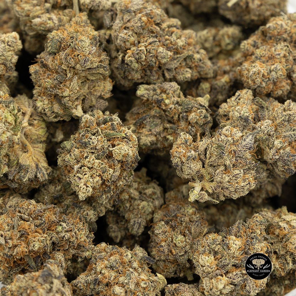 Buy Truffle Butter Bulk at Elephant Garden Co Weed Dispensary 3