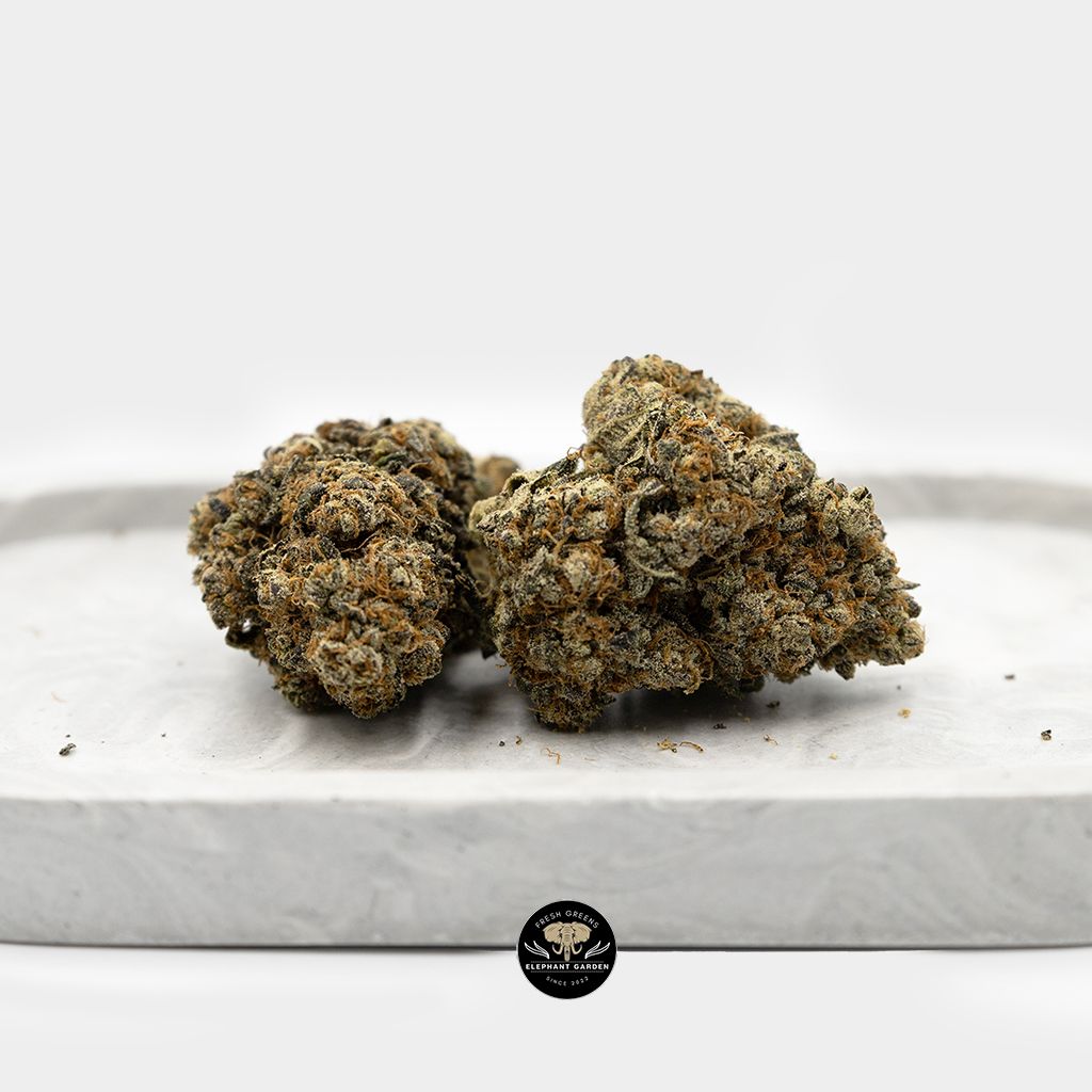 Buy Truffle Butter Bundle at Elephant Garden Co Weed Dispensary 3
