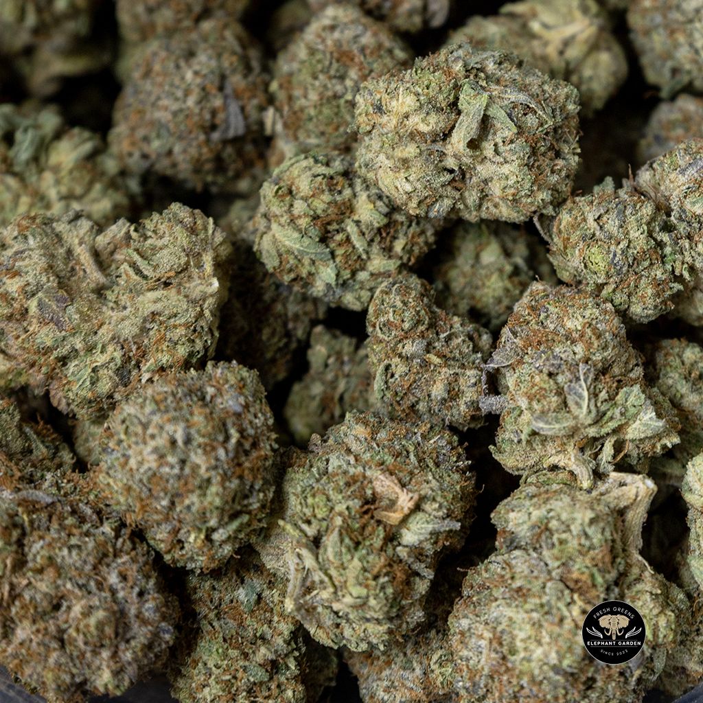 Buy Tuna Kush Bulk At Elephant Garden Co Weed Dispensary