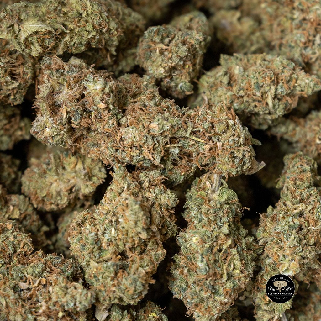 Buy Blue Dream Bulk at Elephant Garden Co Weed Dispensary