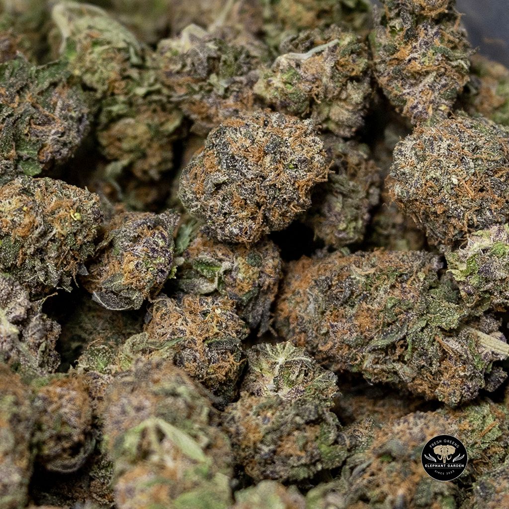 Buy Blueberry Bulk At Elephant Garden Co Weed Dispensary 2