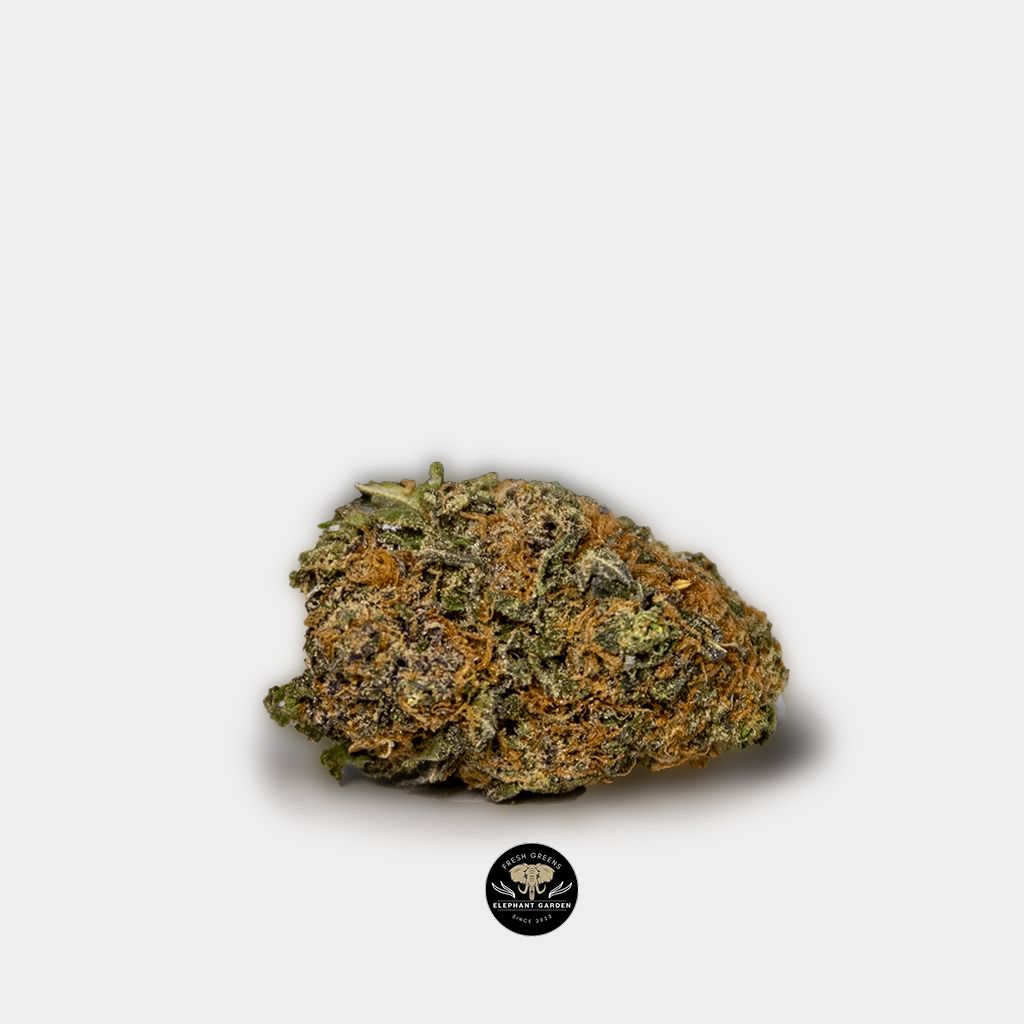 Buy Blueberry At Elephant Garden Co Weed Dispensary Single 2