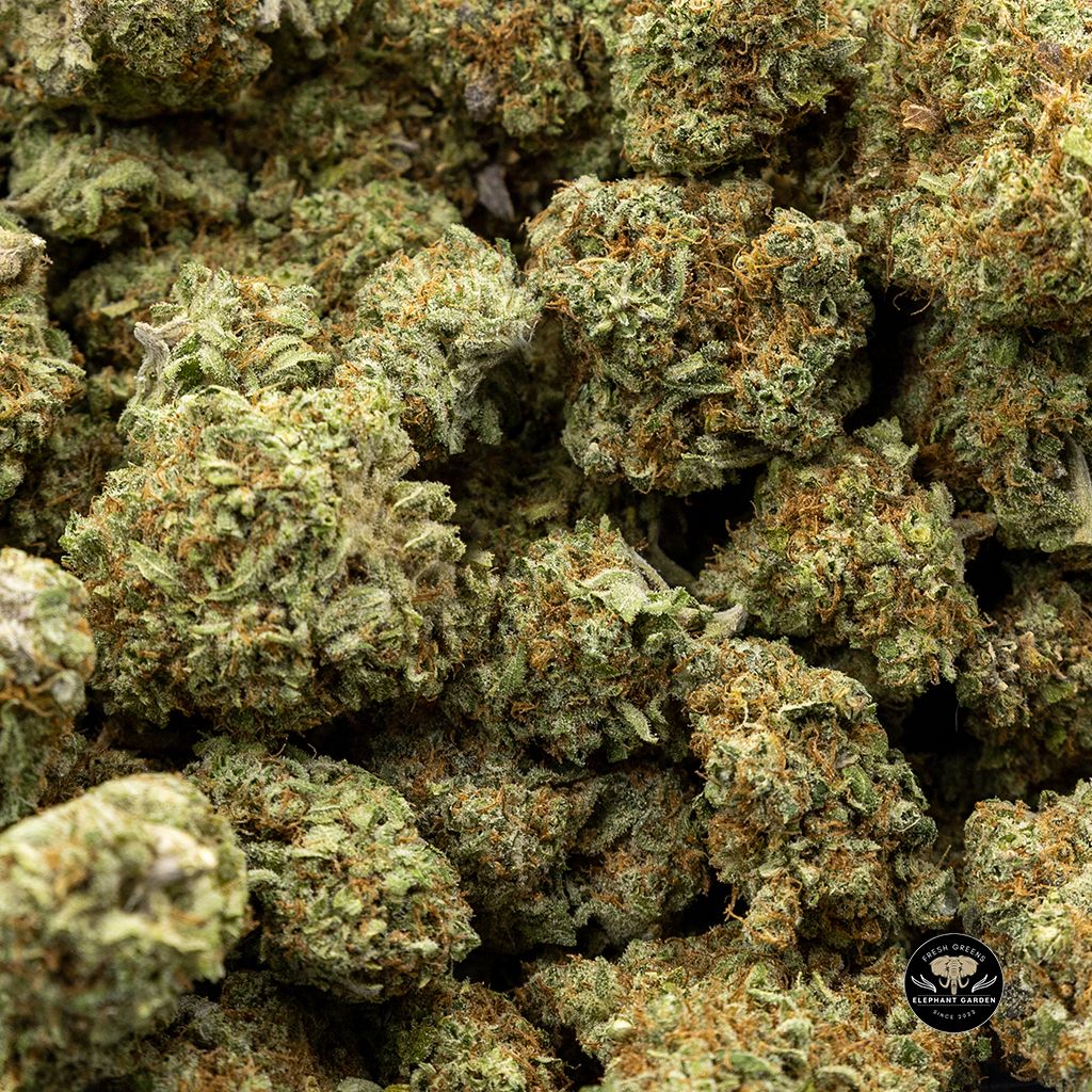 Buy Banana OG Bulk at Elephant Garden Cannabis Weed