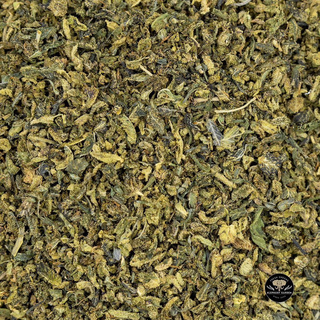 Buy Black Tuna Shake at Elephant Garden Cannabis