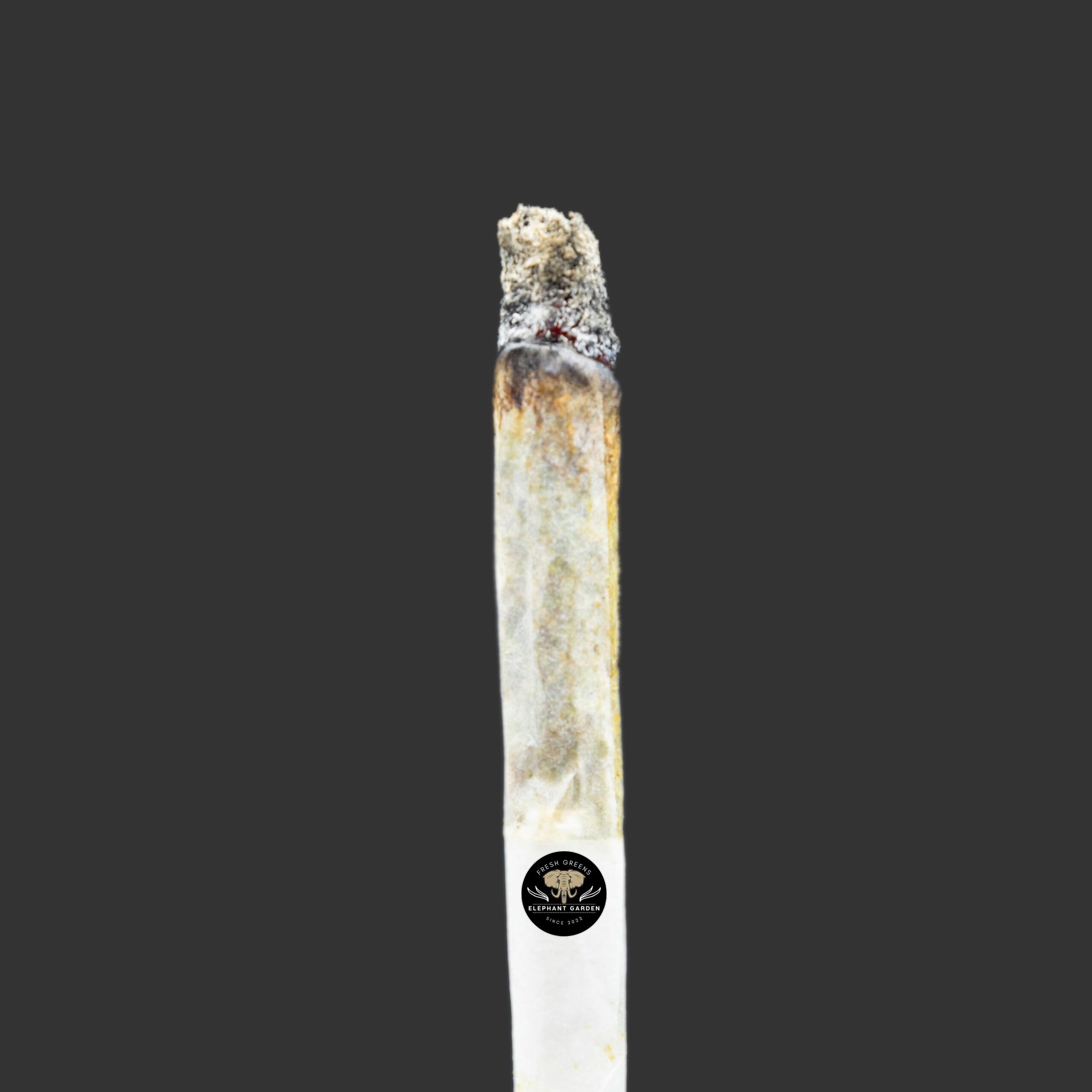 Buy Ice Cream Cookies at Elephant Garden Co Weed Dispensary Burn Test 11_23_2023 2
