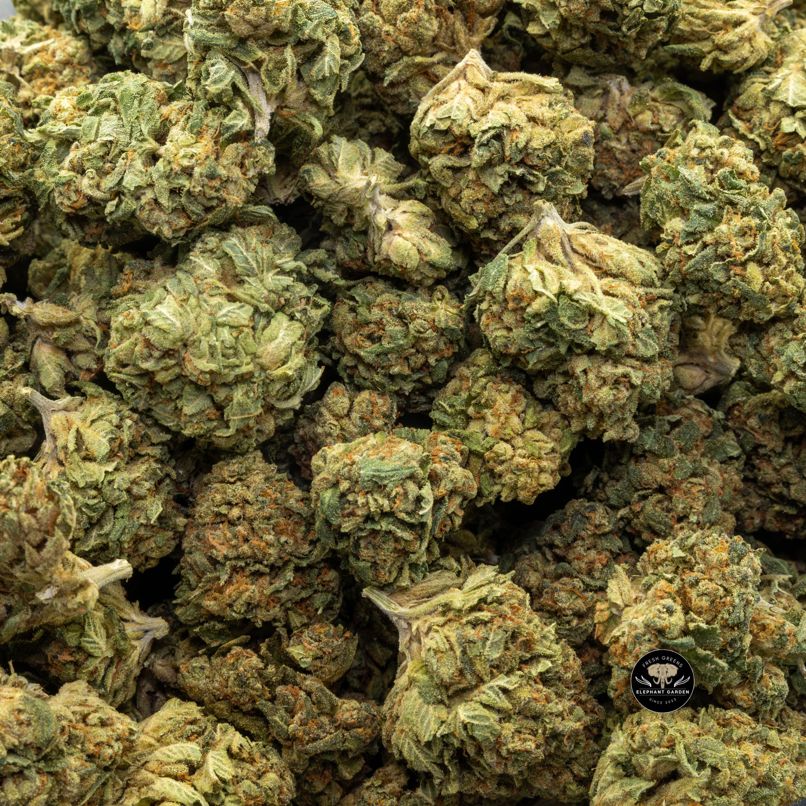 Buy Flo white (Bulk) at Elephant Garden Co Weed Dispensary Bulk 11_23_2023 3