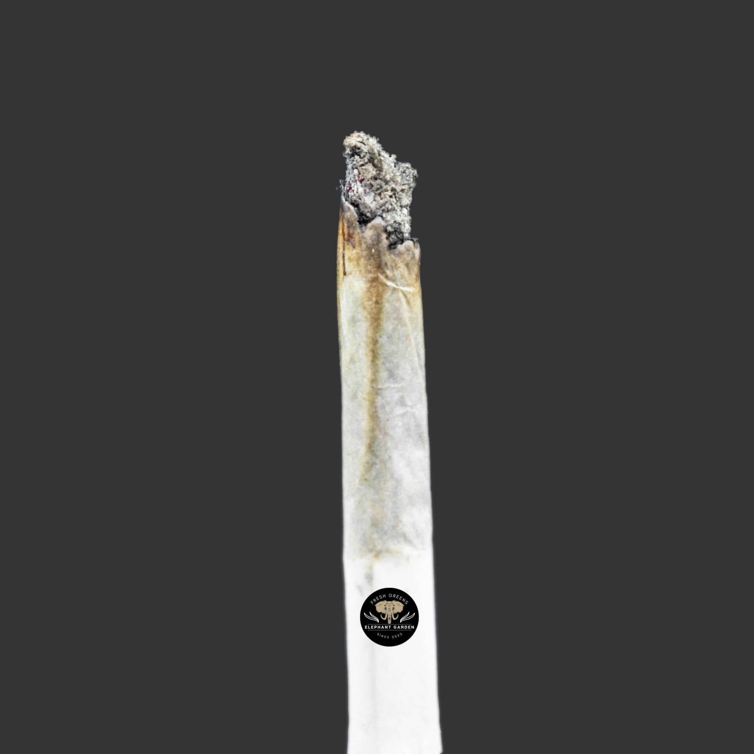 Buy Flo White at Elephant Garden Co Weed Dispensary Burn Test 11_23_2023 2
