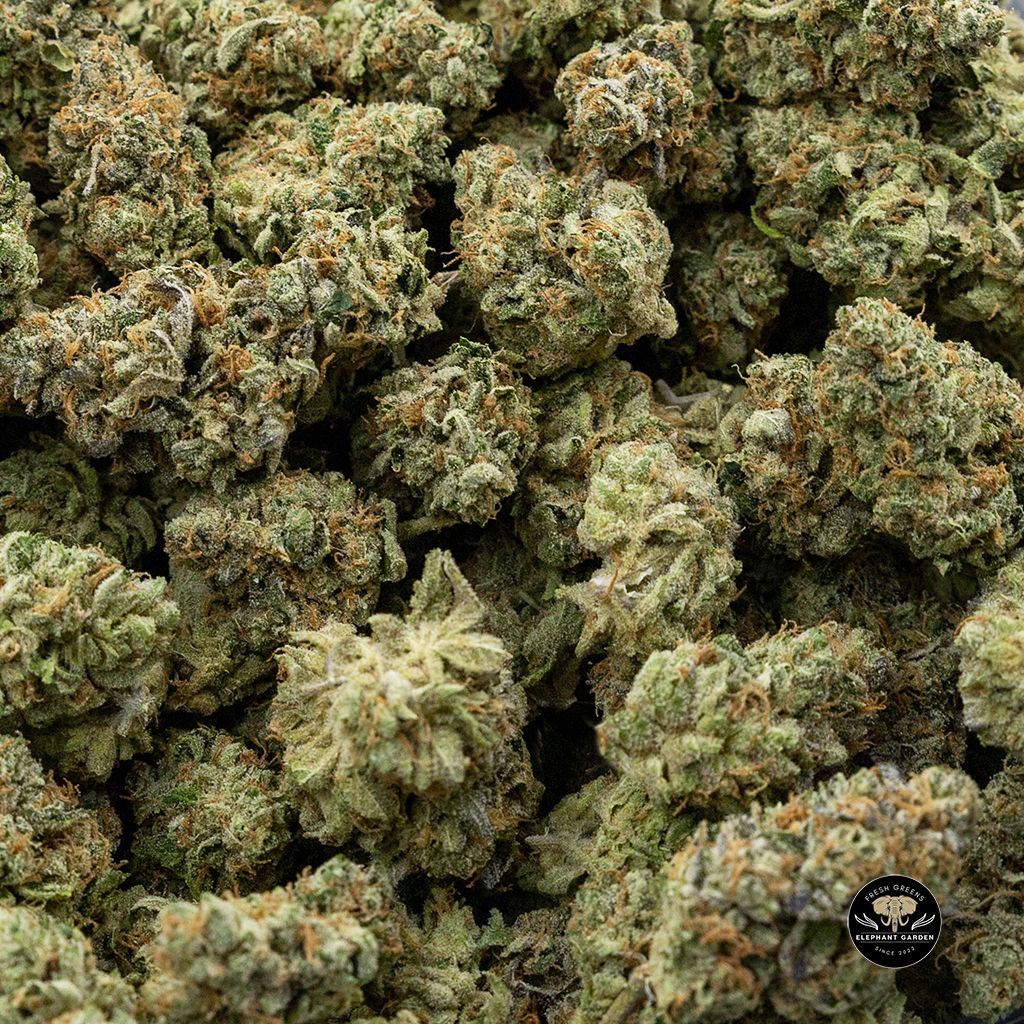 Buy Pineapple At Elephant Garden Co Weed Dispensary Online Bulk