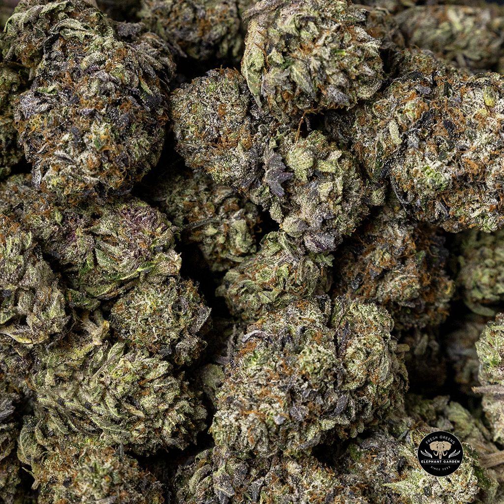 Buy Pre-98 Bulk at Elephant Garden Cannabis Weed