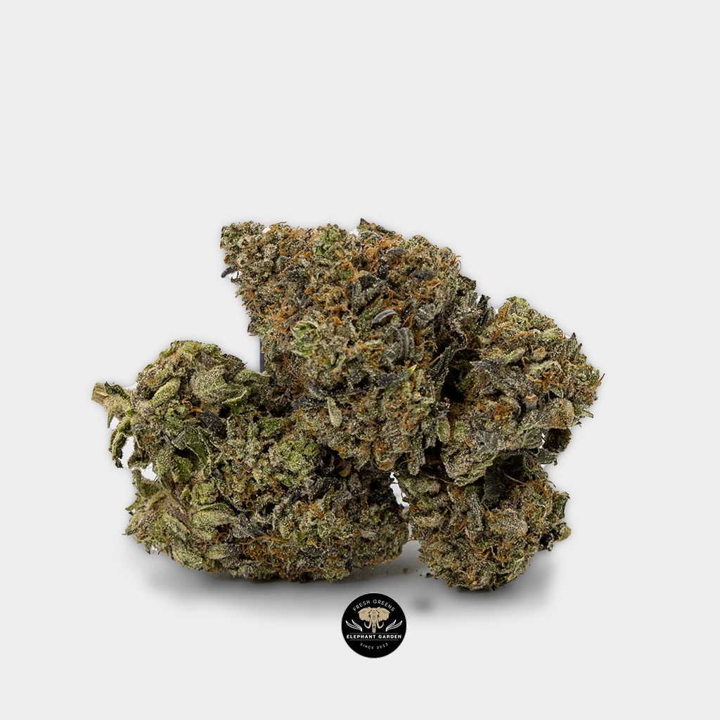 Buy Pre-98 Bundle aBuy Pre-98 Bundle at Elephant Garden Cannabis Weed Elephant Garden Cannabis Weed