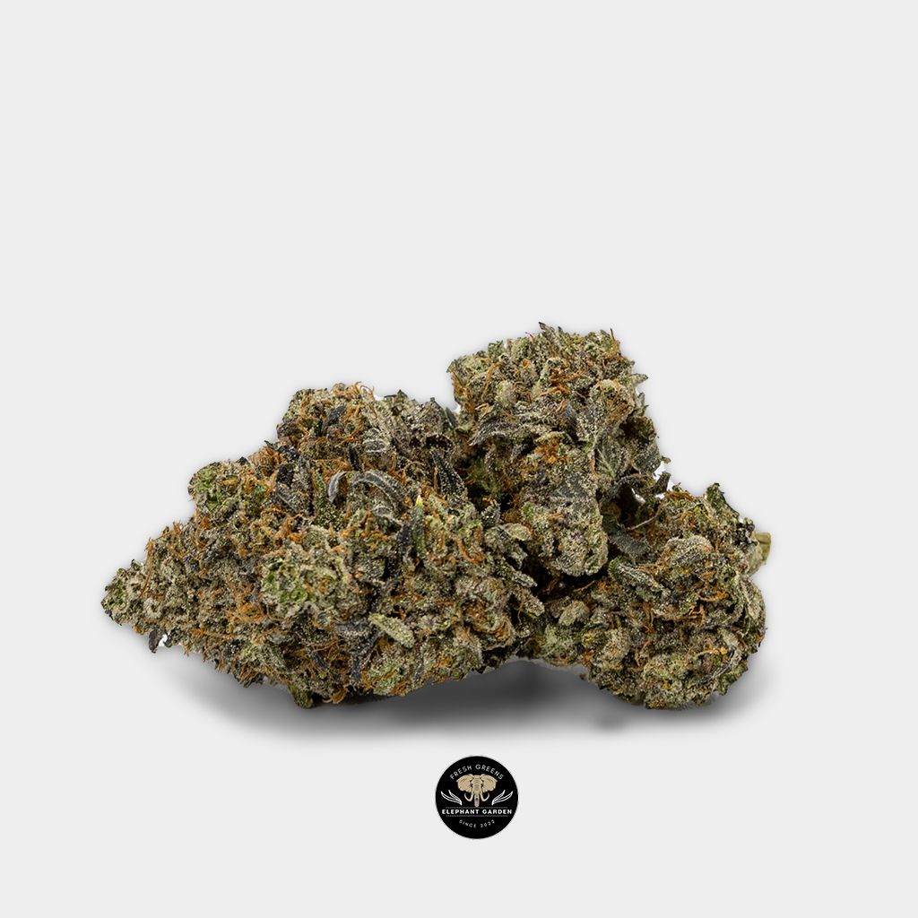 Buy Pre-98 Single at Elephant Garden Cannabis Weed