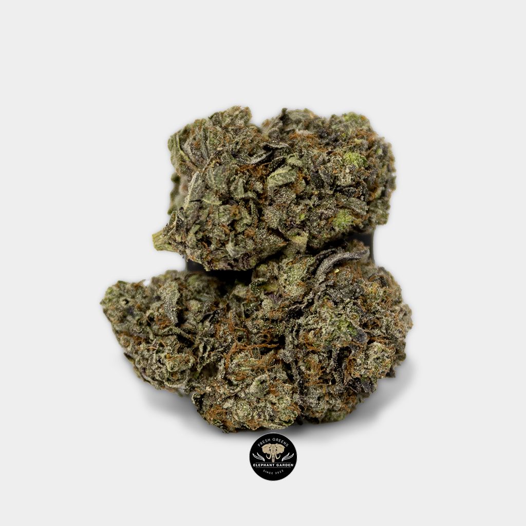 Buy Purple Octane Bundle at Elephant Garden Cannabis Weed