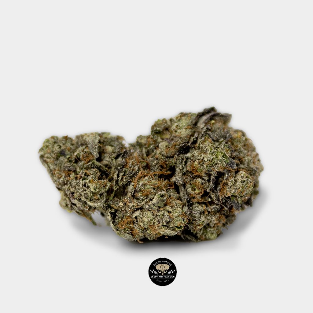 Buy Purple Octane Single at Elephant Garden Cannabis Weed