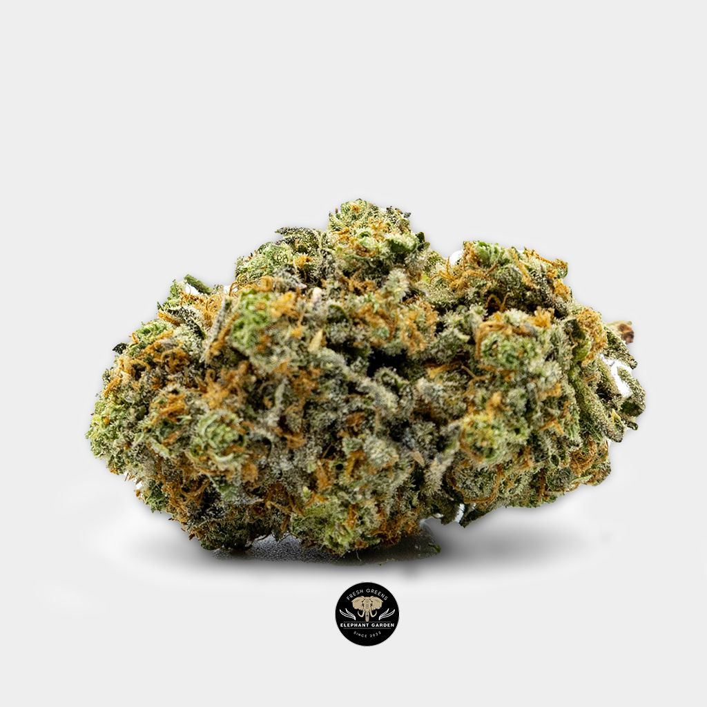 Buy Tangerine Dream at Elephant Garden Co Weed Dispensary Online Single