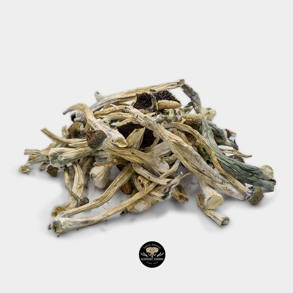 Buy Zilla Mushrooms at Elephant Garden Cannabis