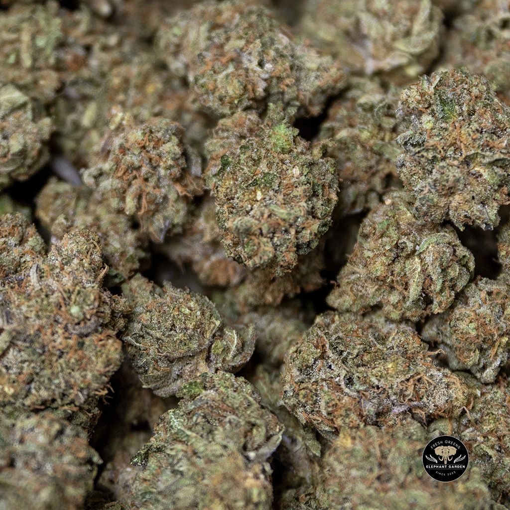 Buy Weed CBD Bulk at Elephant Garden Co Weed Dispensary 2