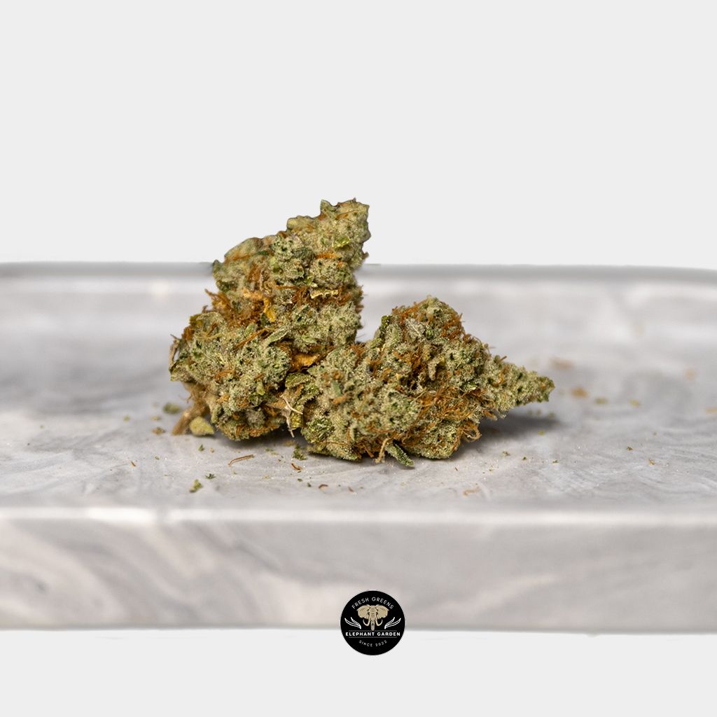 Buy Candy Jack At Elephant Garden Co Weed Dispensary Bundle