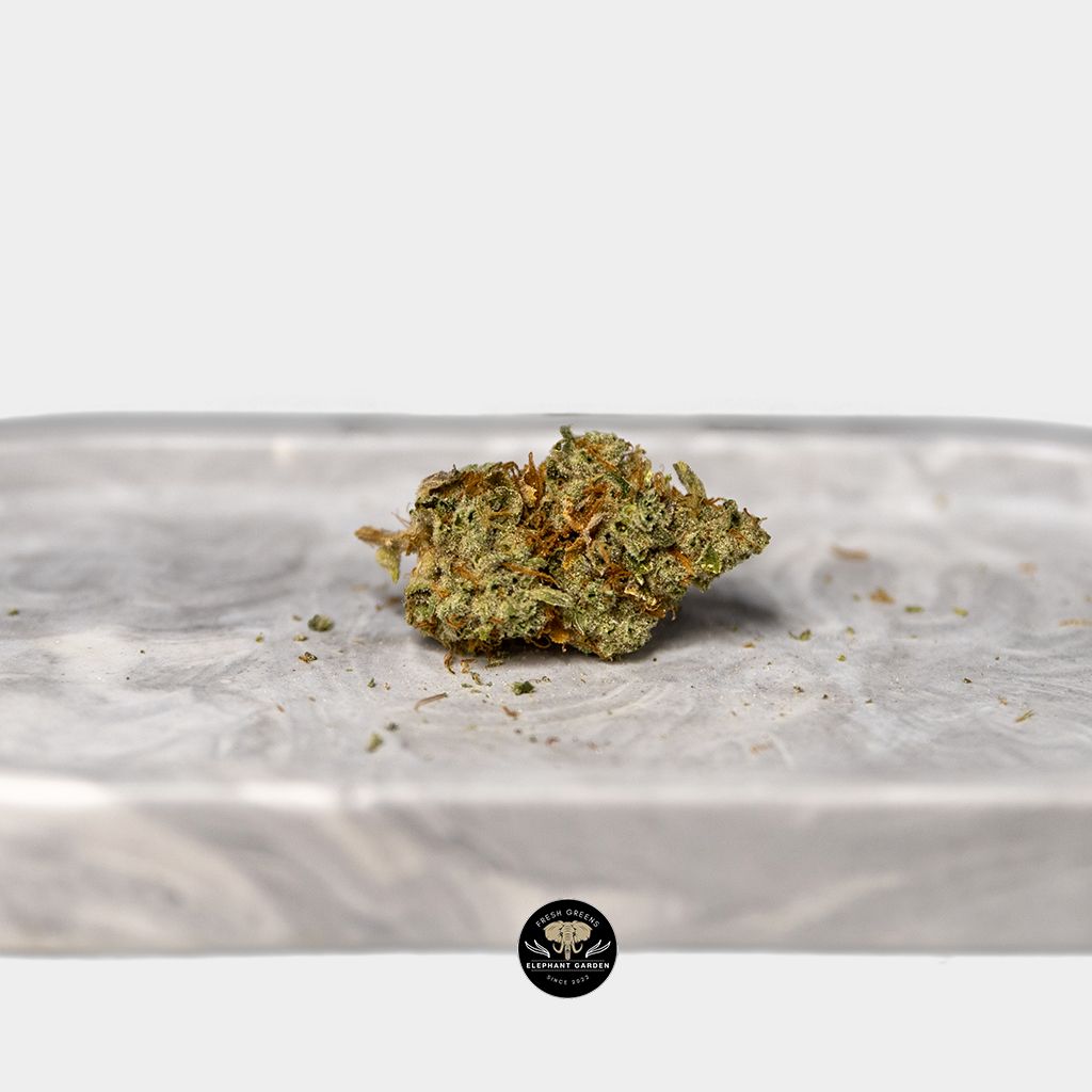 Buy Candy Jack At Elephant Garden Co Weed Dispensary Single